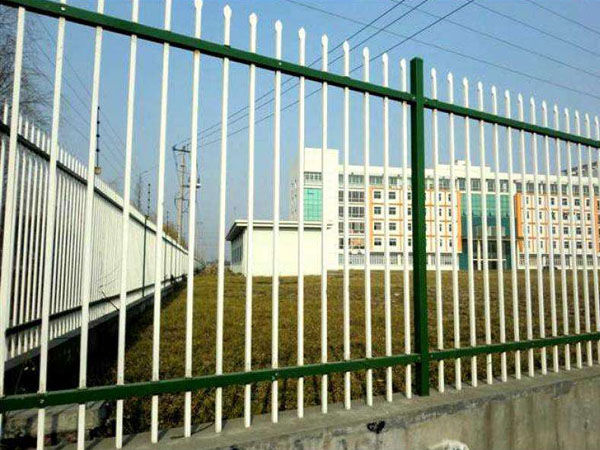 timg (4).jpg timg (4).jpg